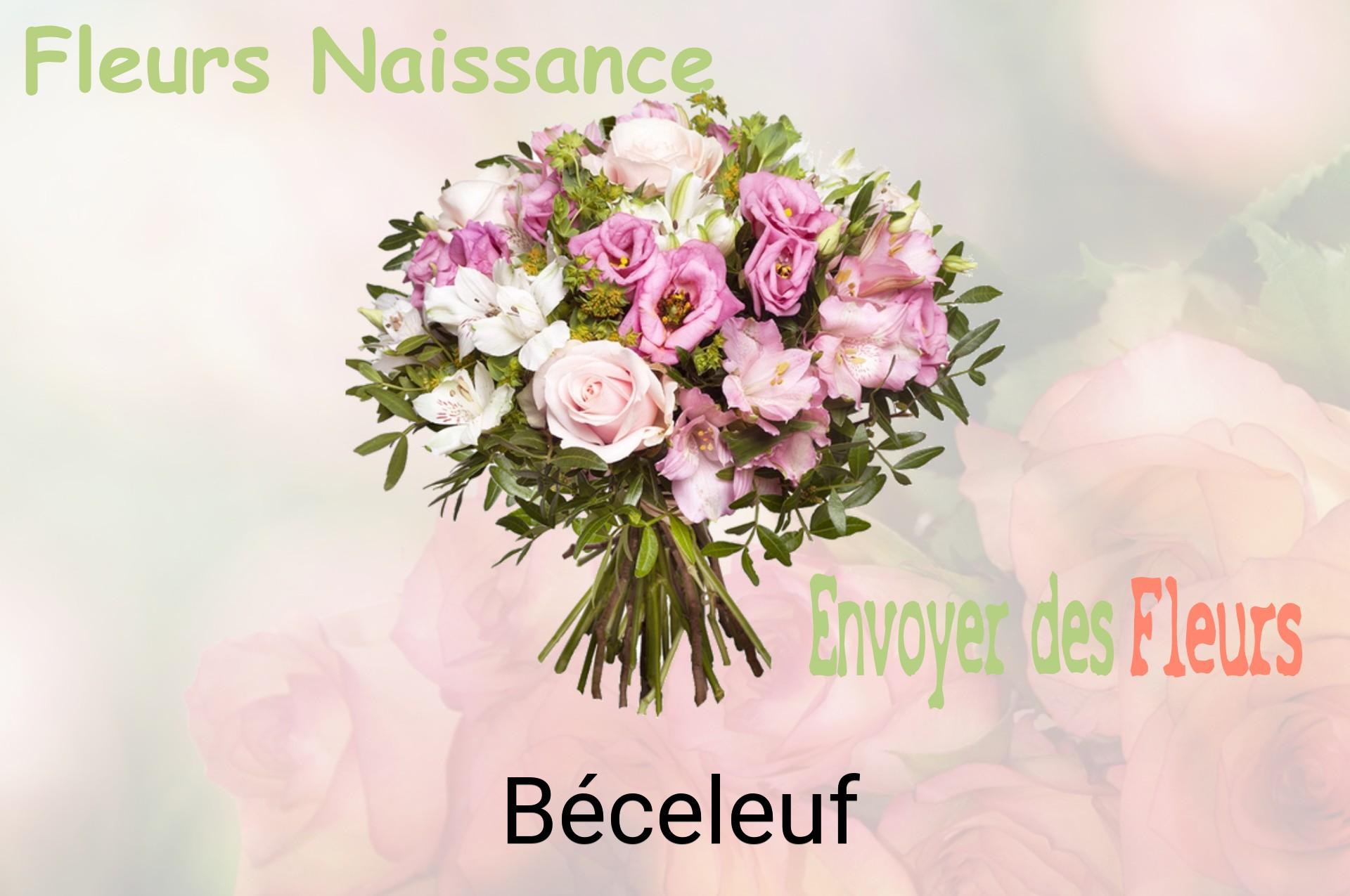 Bouquet de fleurs de naissance livré à Béceleuf